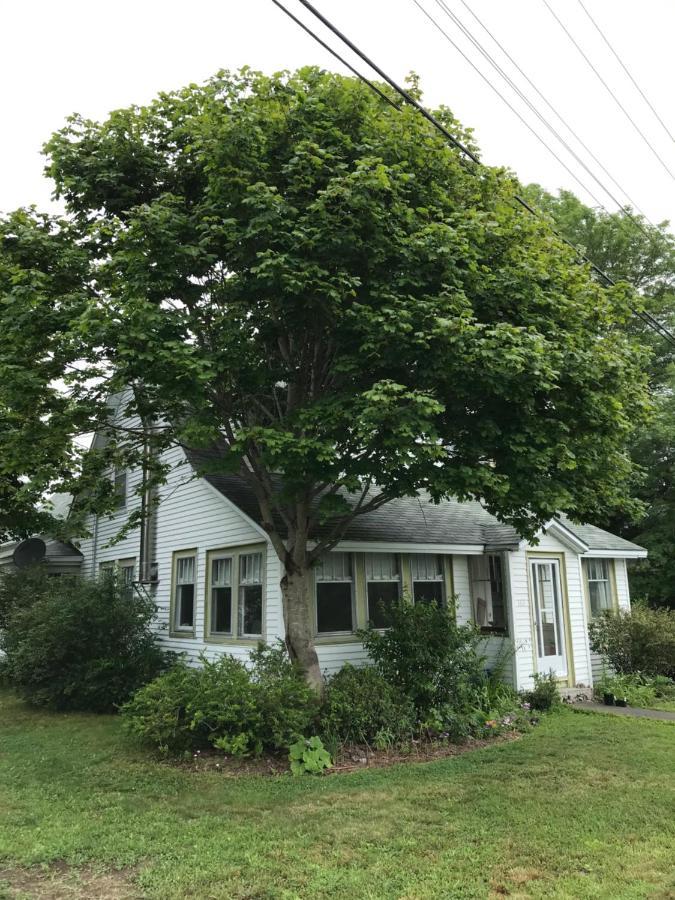 Bed and Breakfast Studio 181 Bed & Breakfast Port Clyde Exterior foto